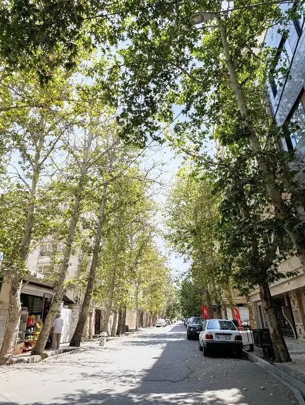 واحد71متری/آسانسور دار/کرج رزکان نو واریان شهر|فروش آپارتمان|مشکین‌دشت, |دیوار