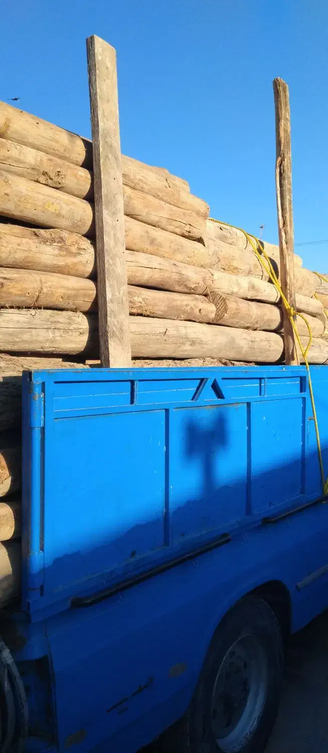 خرید انواع چوب درخت وریشه مو|خدمات باغبانی و درختکاری|کشاورز, |دیوار