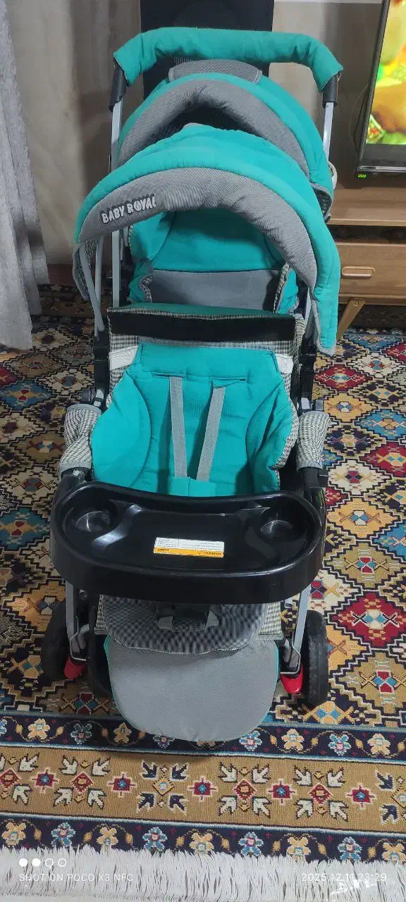 کالسکه دوقلو دلیجان|کالسکه و لوازم جانبی|آشخانه, |دیوار