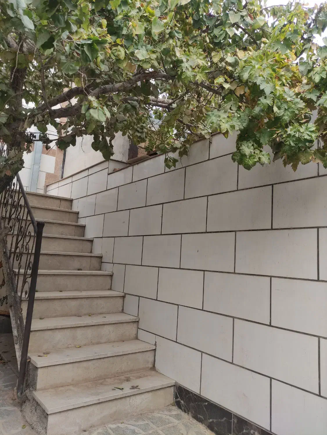 رهن و اجاره /آغوی امام رضا 8|اجارهٔ خانه و ویلا|تربتحیدریه, آغوی|دیوار