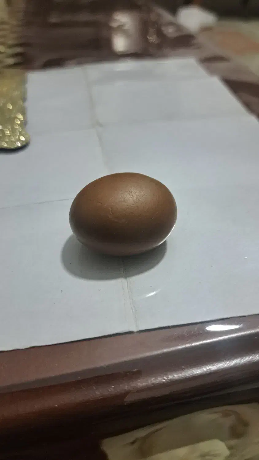 سنگ قیمتی|کلکسیون اشیاء عتیقه|تهران, کیانشهر|دیوار