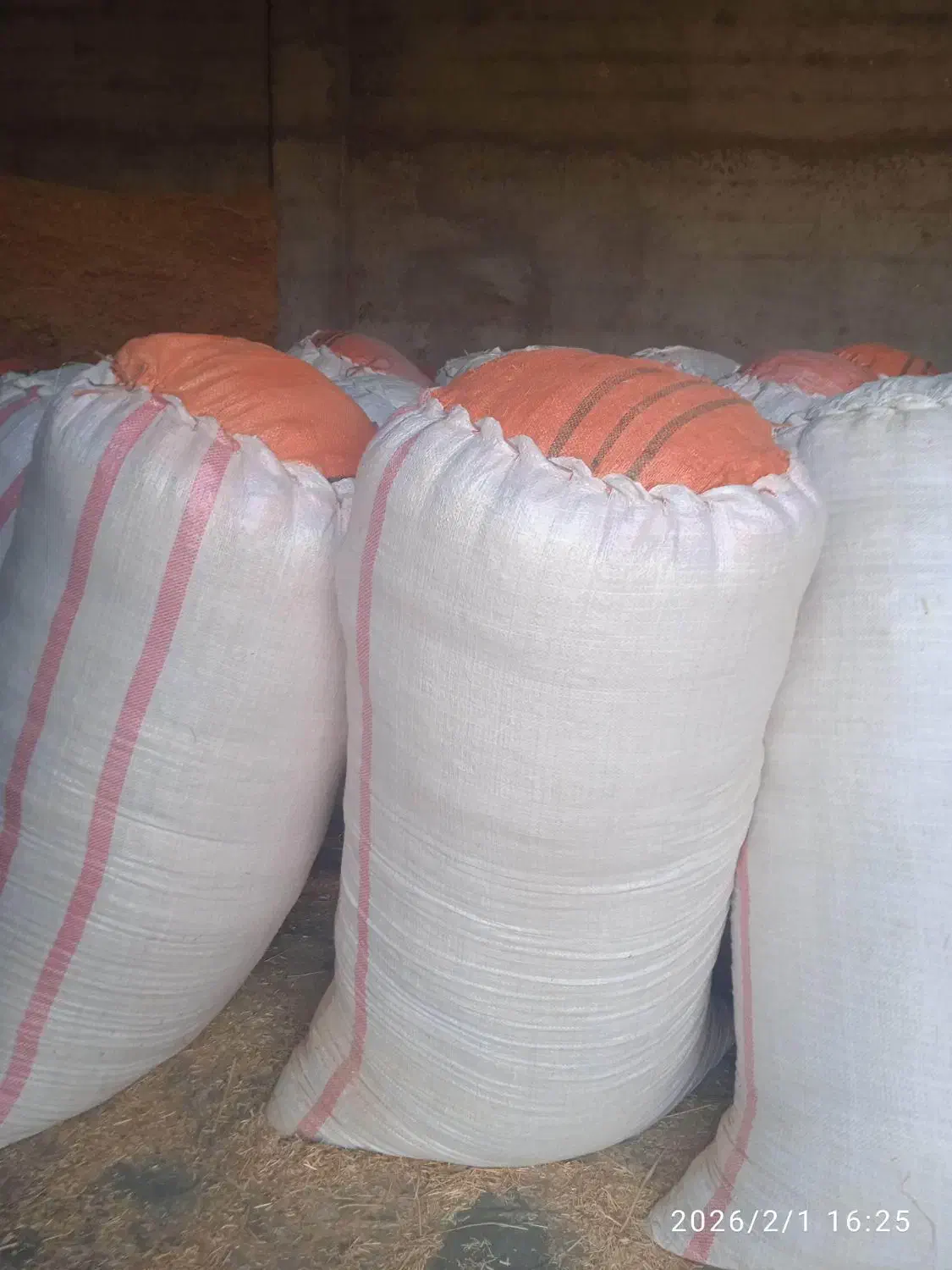 کاه گندم|حراج|ایذه, |دیوار