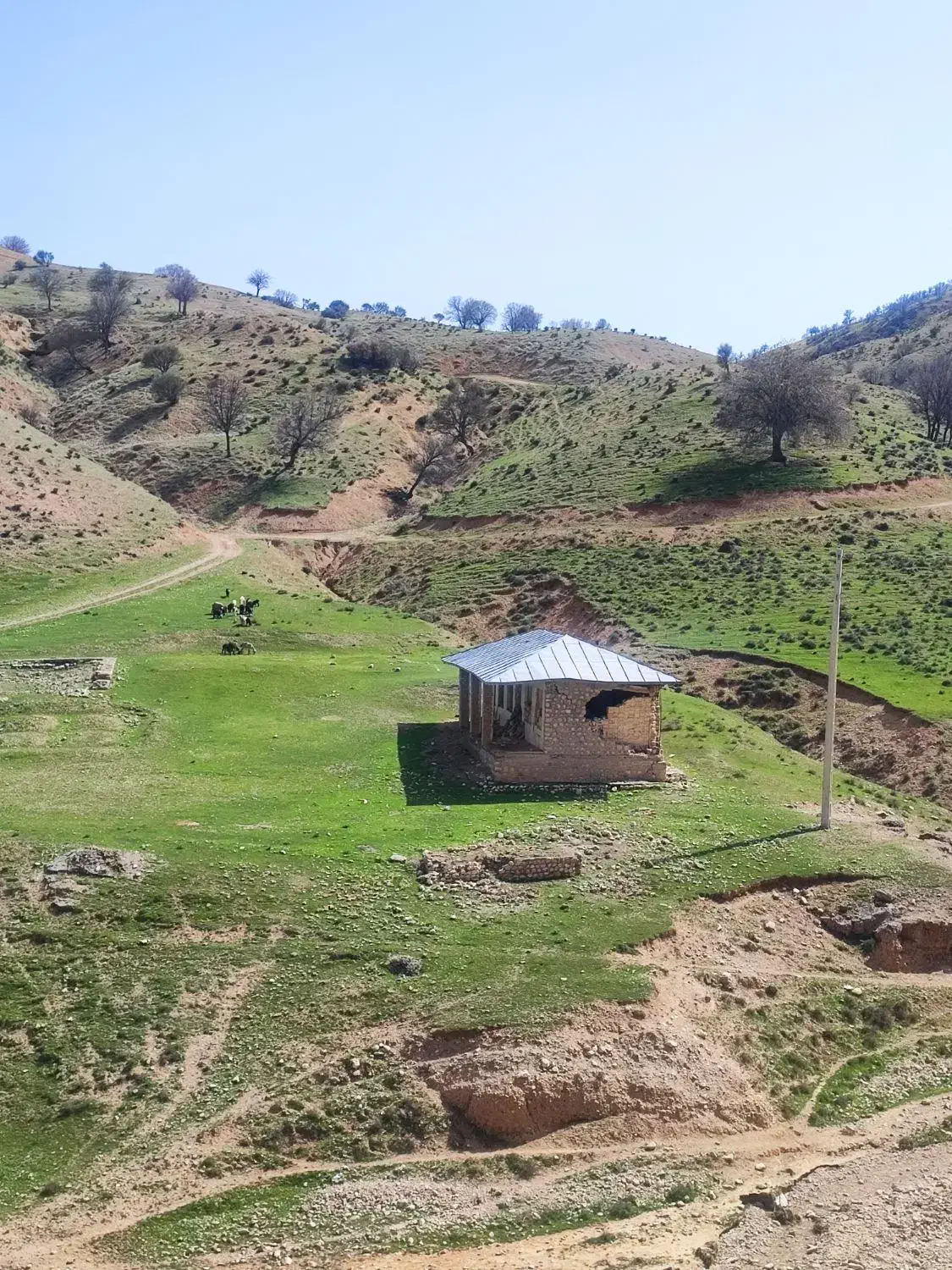 باغ شهری صدرا ،اهل بیت ویو همیشگی|فروش زمین و ملک کلنگی|شیراز, باغشهر اهل بیت|دیوار