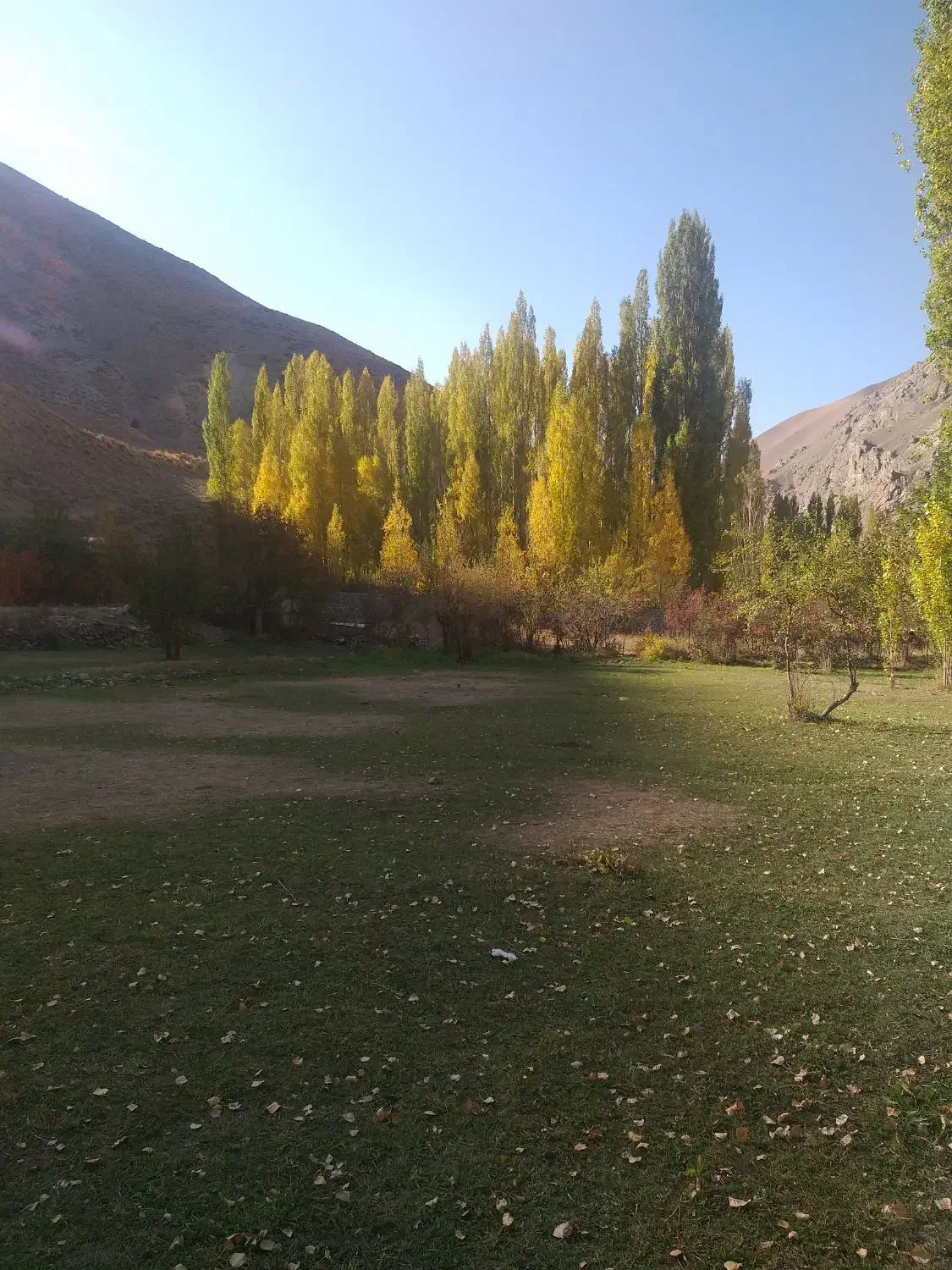 مشارکت مسکونی منطقه ۱۱|مشارکت در ساخت املاک|شیراز, میرزاکوچک خان|دیوار