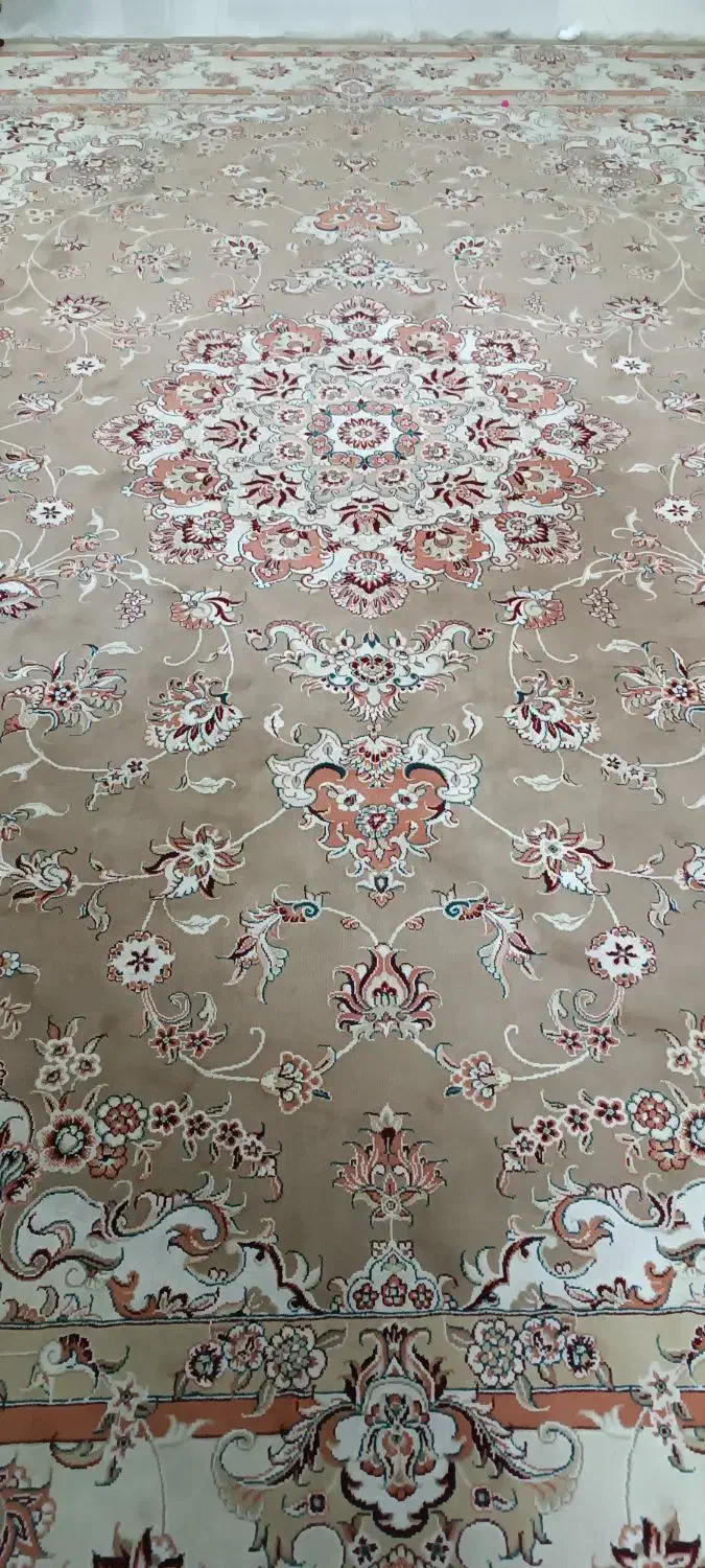 یک تخته فرش دوازده متری گردویی|فرش|مشهد, رضاییه|دیوار