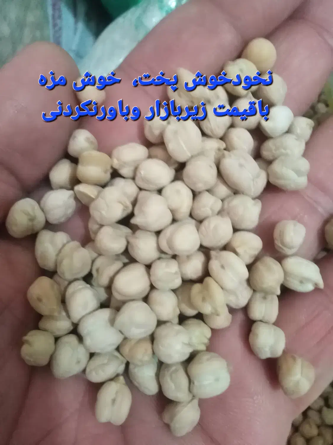 نخود امسال|خوردنی و آشامیدنی|شوط, |دیوار
