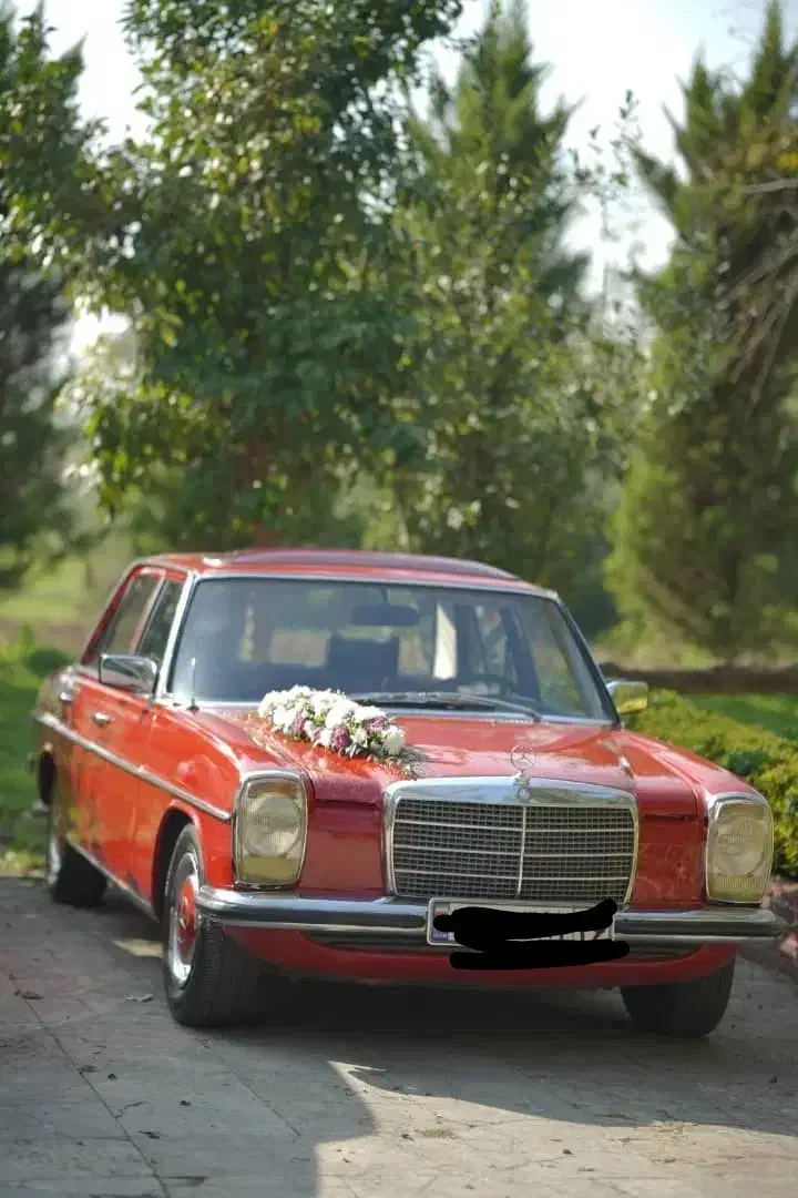 تشریفات مجالس|خدمات پذیرایی، مراسم|رشت, استادسرا|دیوار