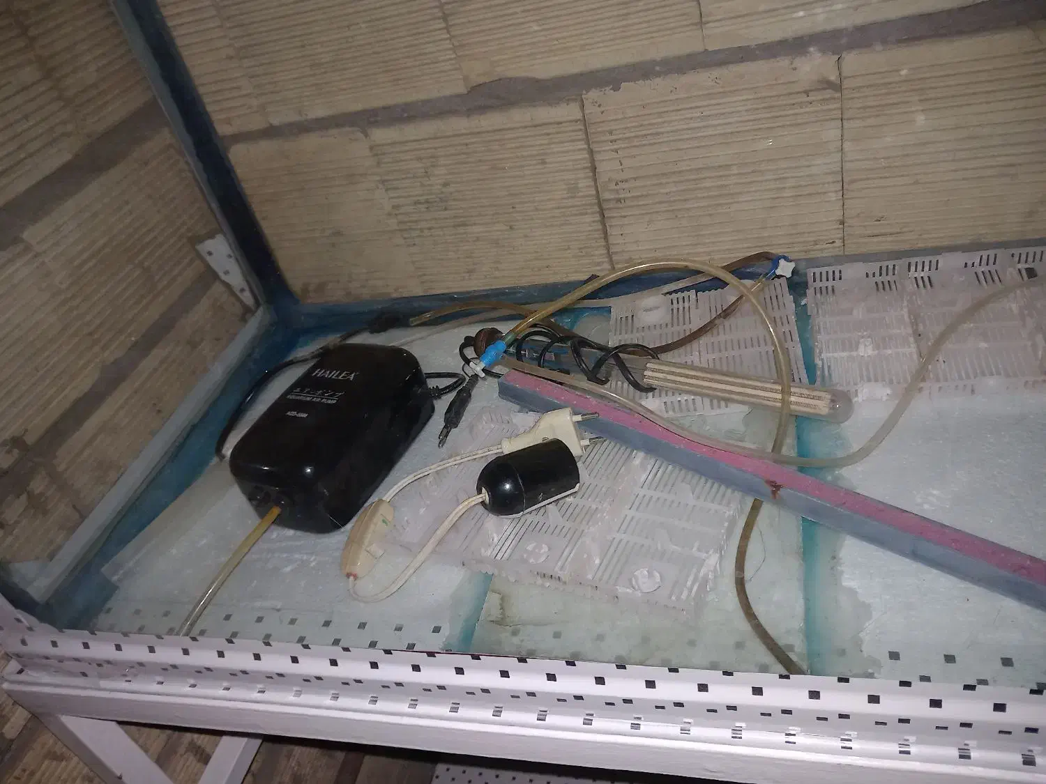 آکواریوم با پایه|ماهی|رشت, معلولین|دیوار