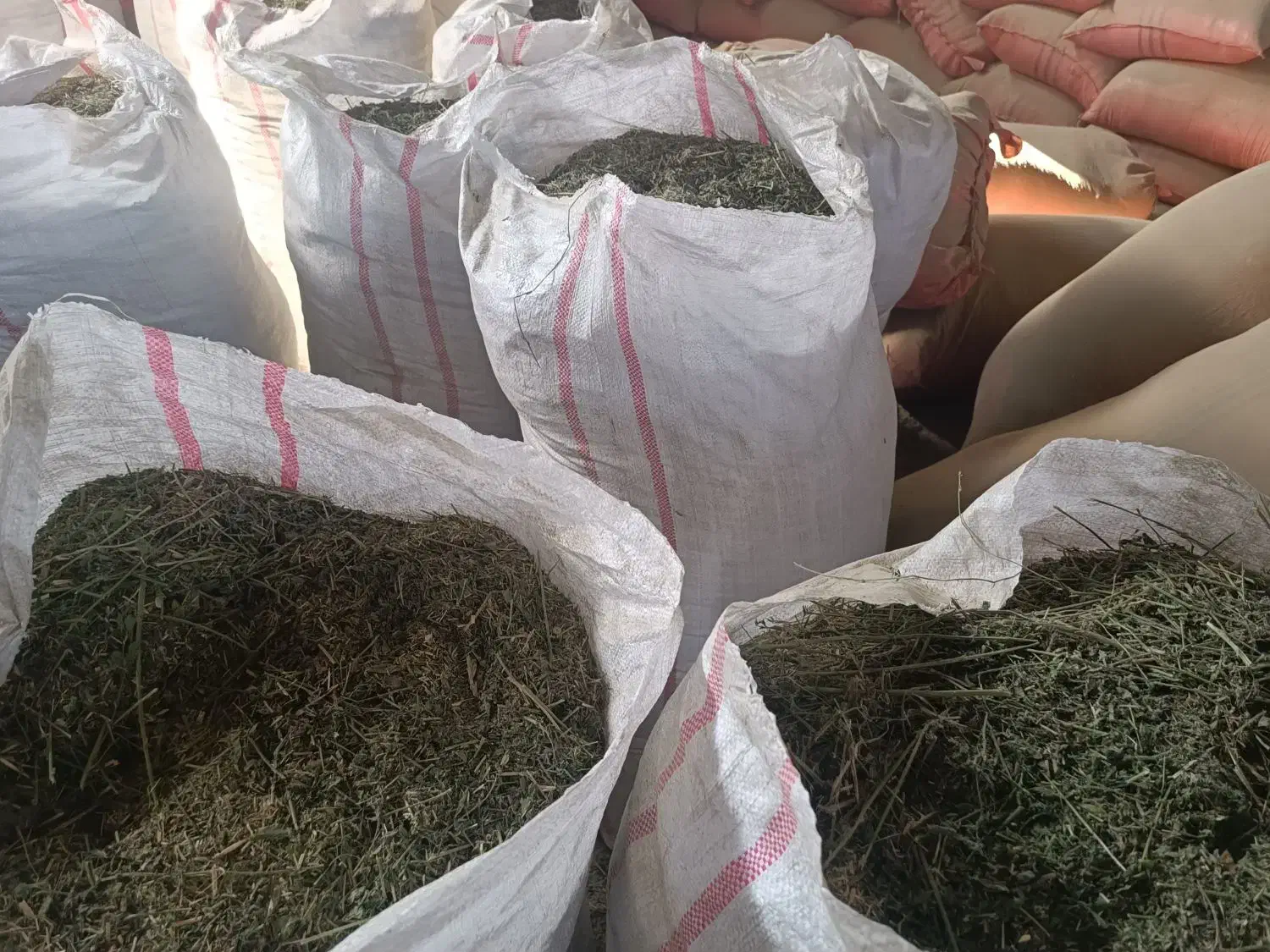 کاه یونجه|خدمات باغبانی و درختکاری|گتوند, |دیوار