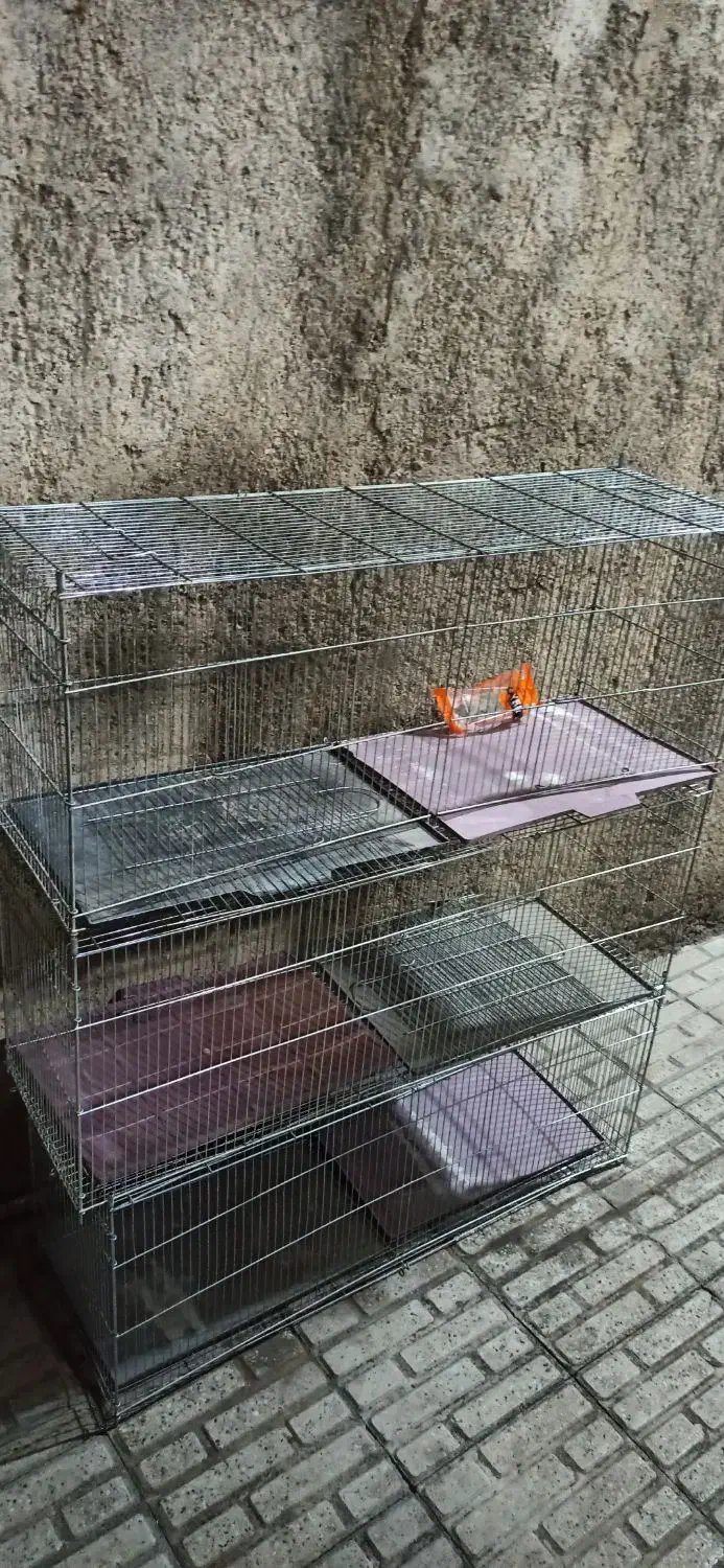 قفس پرنده|لوازم جانبی حیوانات|جوانرود, |دیوار