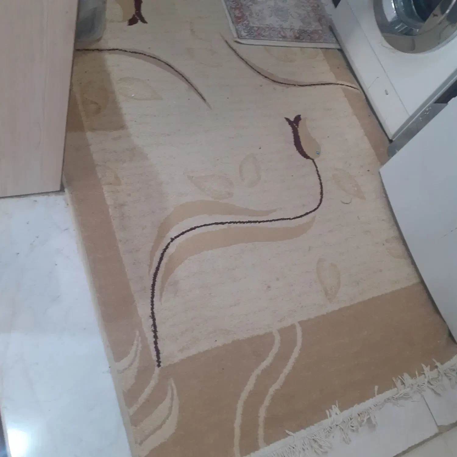 گلیم فرش|گلیم، جاجیم، گبه|قم, ناصردیوان|دیوار