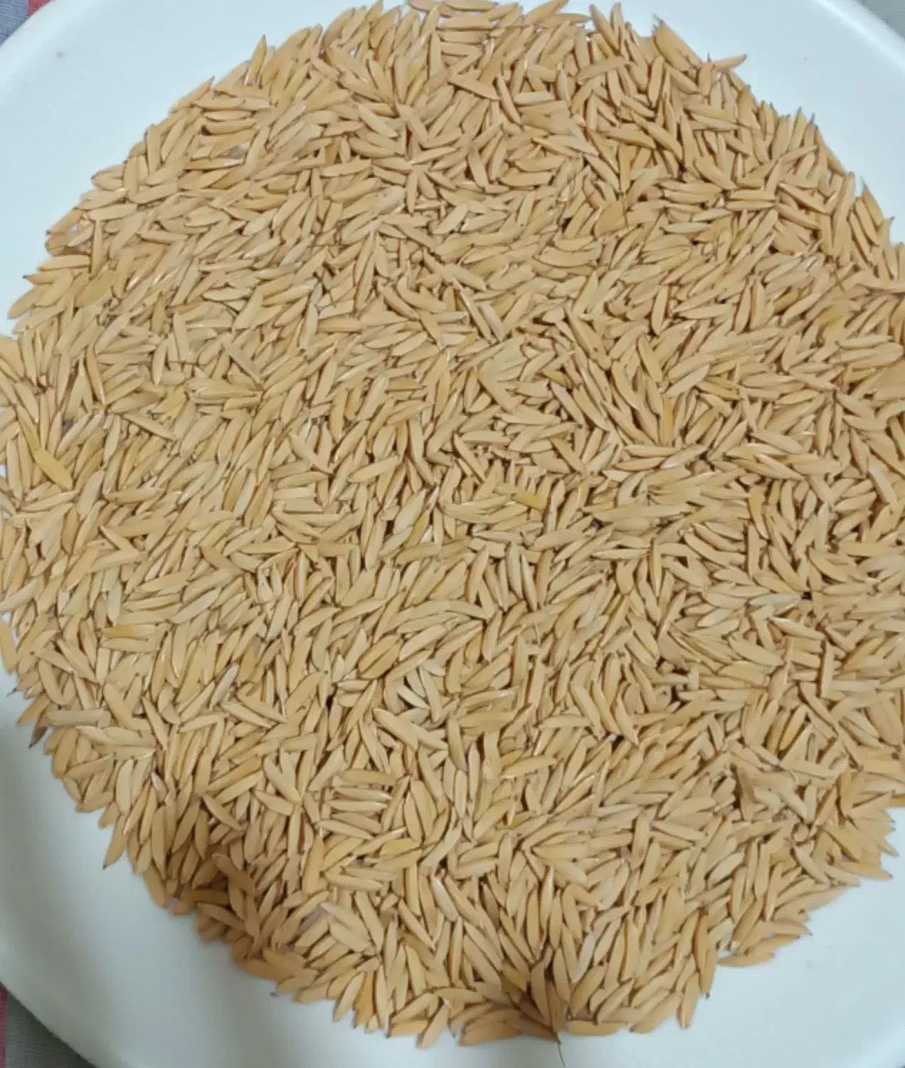 شالی دم سیاه درجه یک|عمده‌فروشی|گنبد کاووس, |دیوار