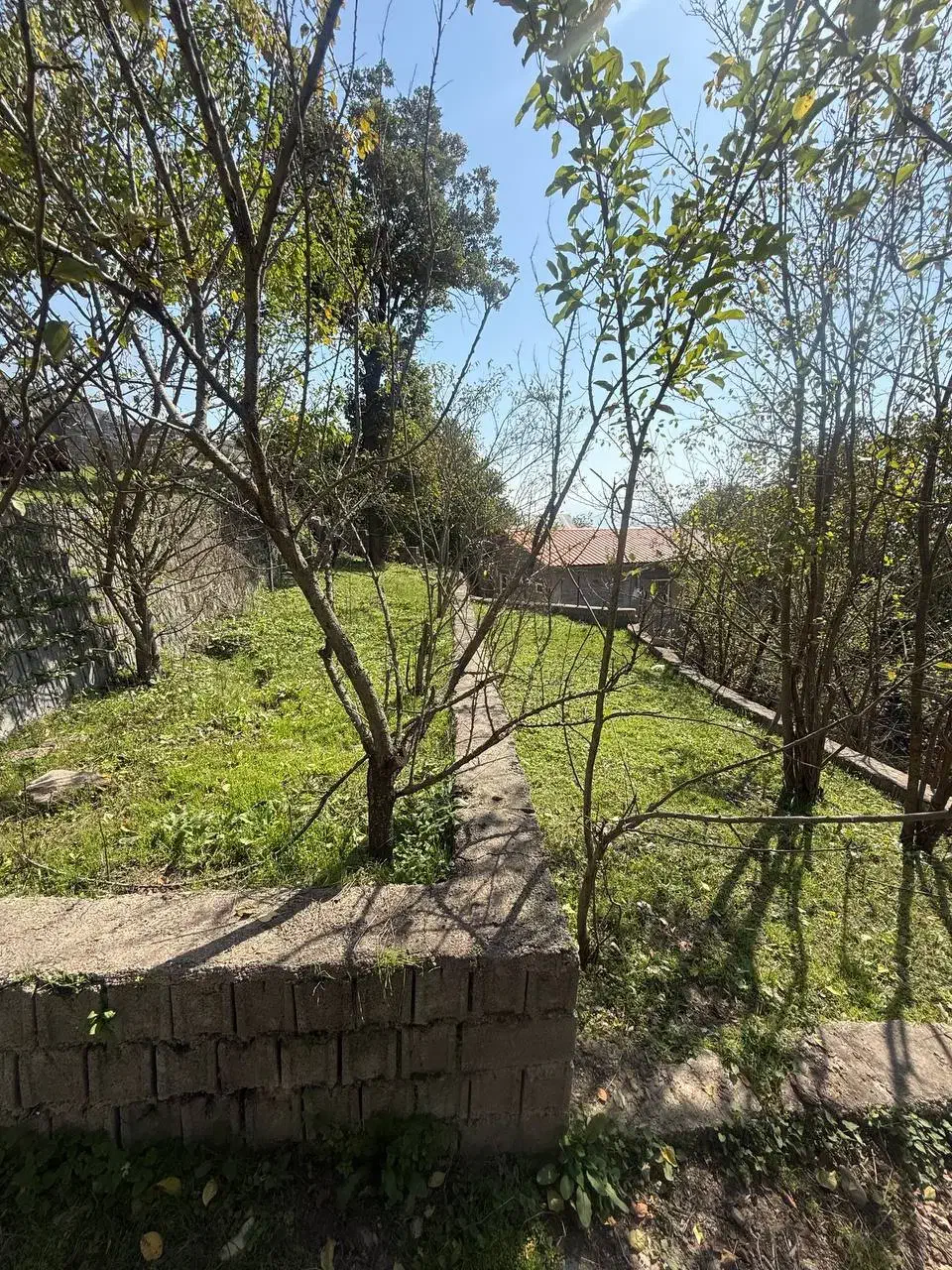 ویلا پلاک یک جنگل|فروش خانه و ویلا|کرج, عظیمیه|دیوار