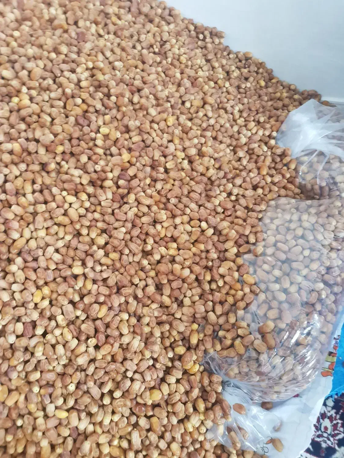 خرما زاهدی درجه یک صادراتی|خوردنی و آشامیدنی|شیراز, باهنر|دیوار