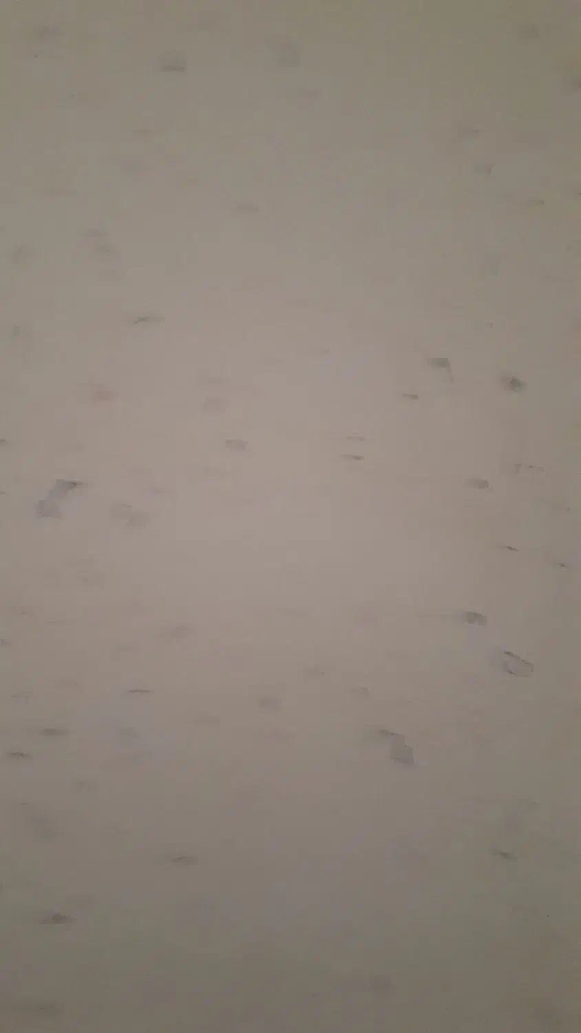 اجاره آپارتمان شخصی نوساز کامل|اجارهٔ آپارتمان|خورموج, |دیوار