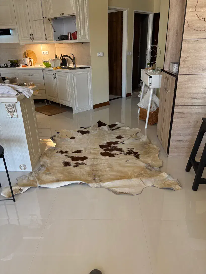 فرش دست دوز چرم وپوست|فرش|شیراز, قدوسی غربی|دیوار