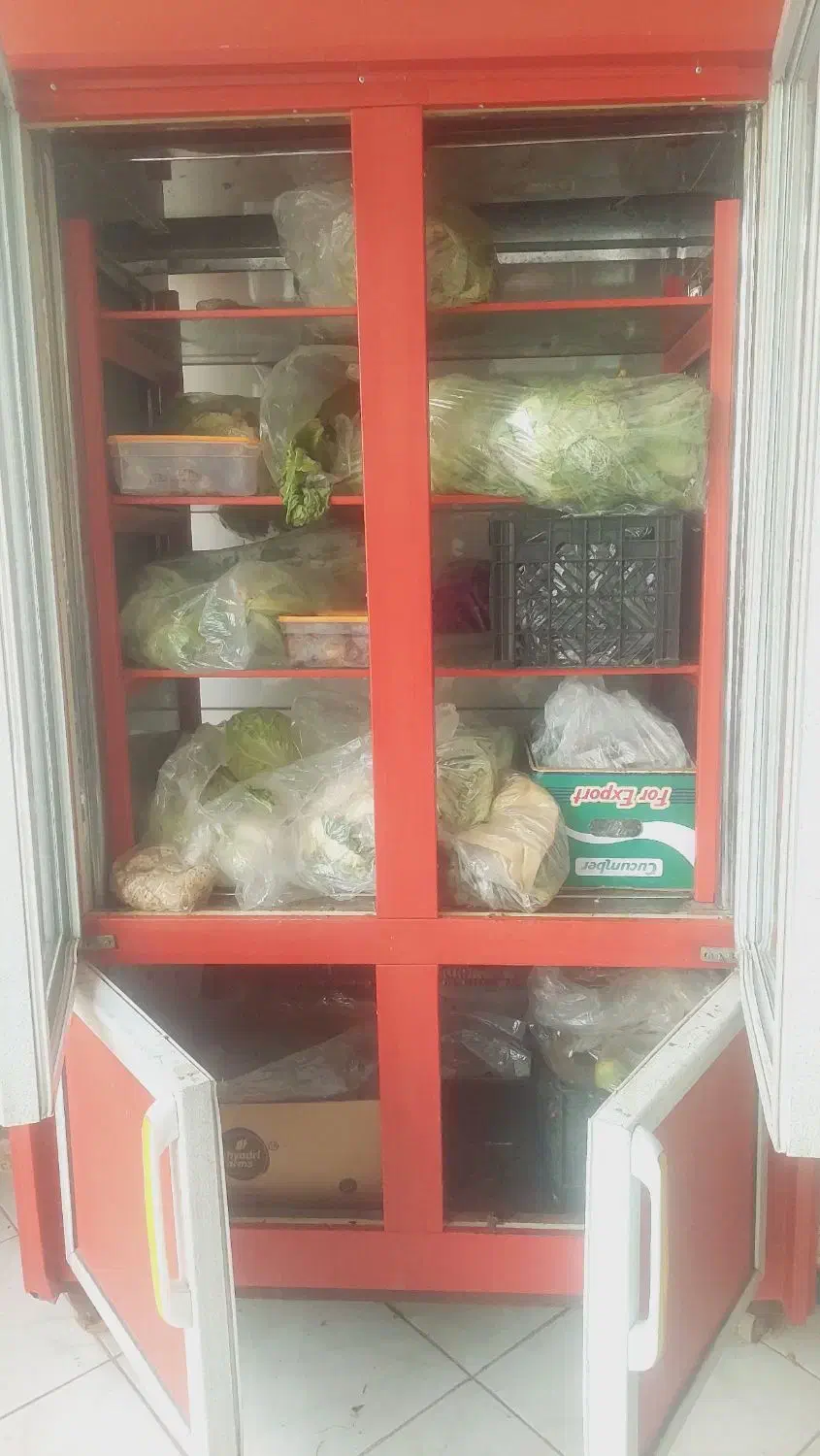 یخچال ویترینی ۴ درب|یخچال و فریزر|ابریشم, |دیوار