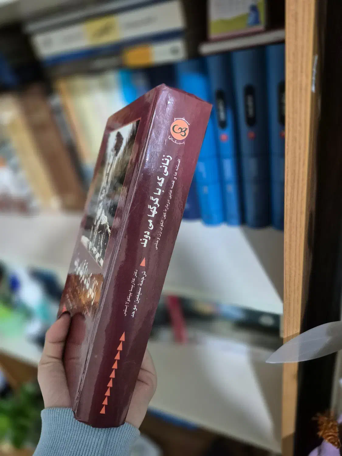 کتاب زنانی که با گرگ ها میدوند|کتاب و مجله ادبی|بابل, |دیوار