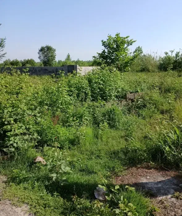 زمین ۲۲۵ متری فخب|فروش زمین و ملک کلنگی|رشت, فخب|دیوار