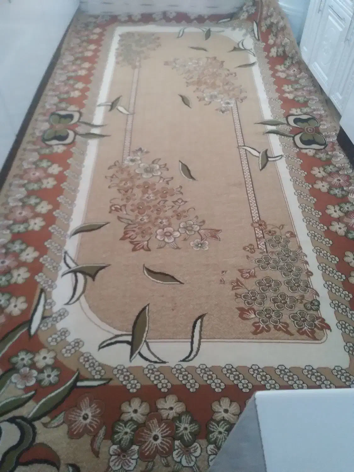 گلیم فرش|گلیم، جاجیم، گبه|قروه, |دیوار