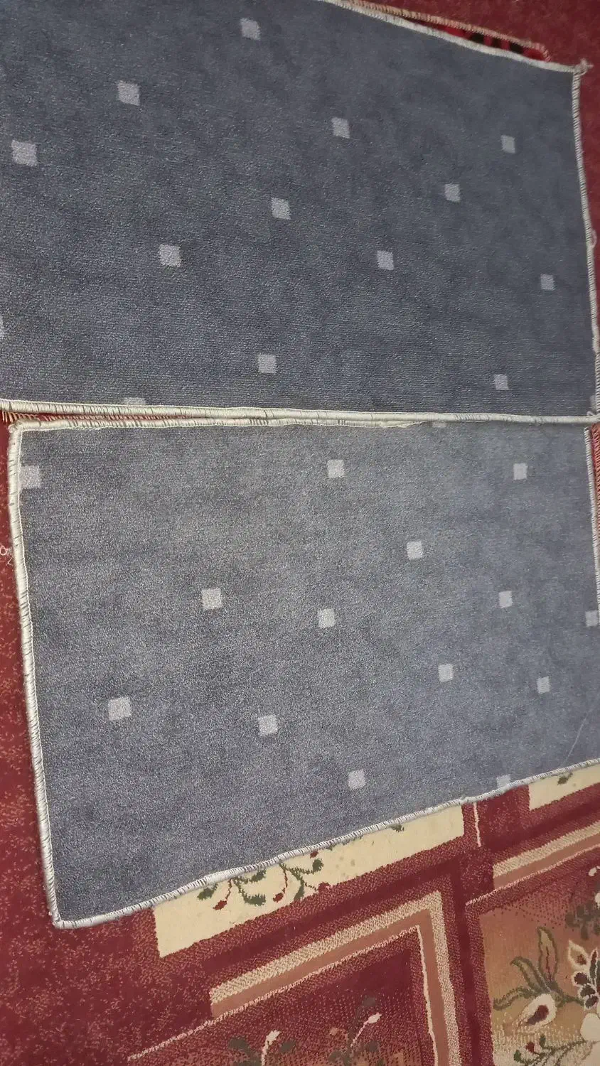 فروش انواع پادری|پادری|زابل, |دیوار