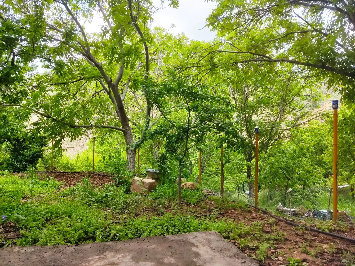 ۵۰۰ متر باغچه در دل کوهستان با بنا و کلبه ای سنتی|فروش زمین و ملک کلنگی|تهران, استخر|دیوار