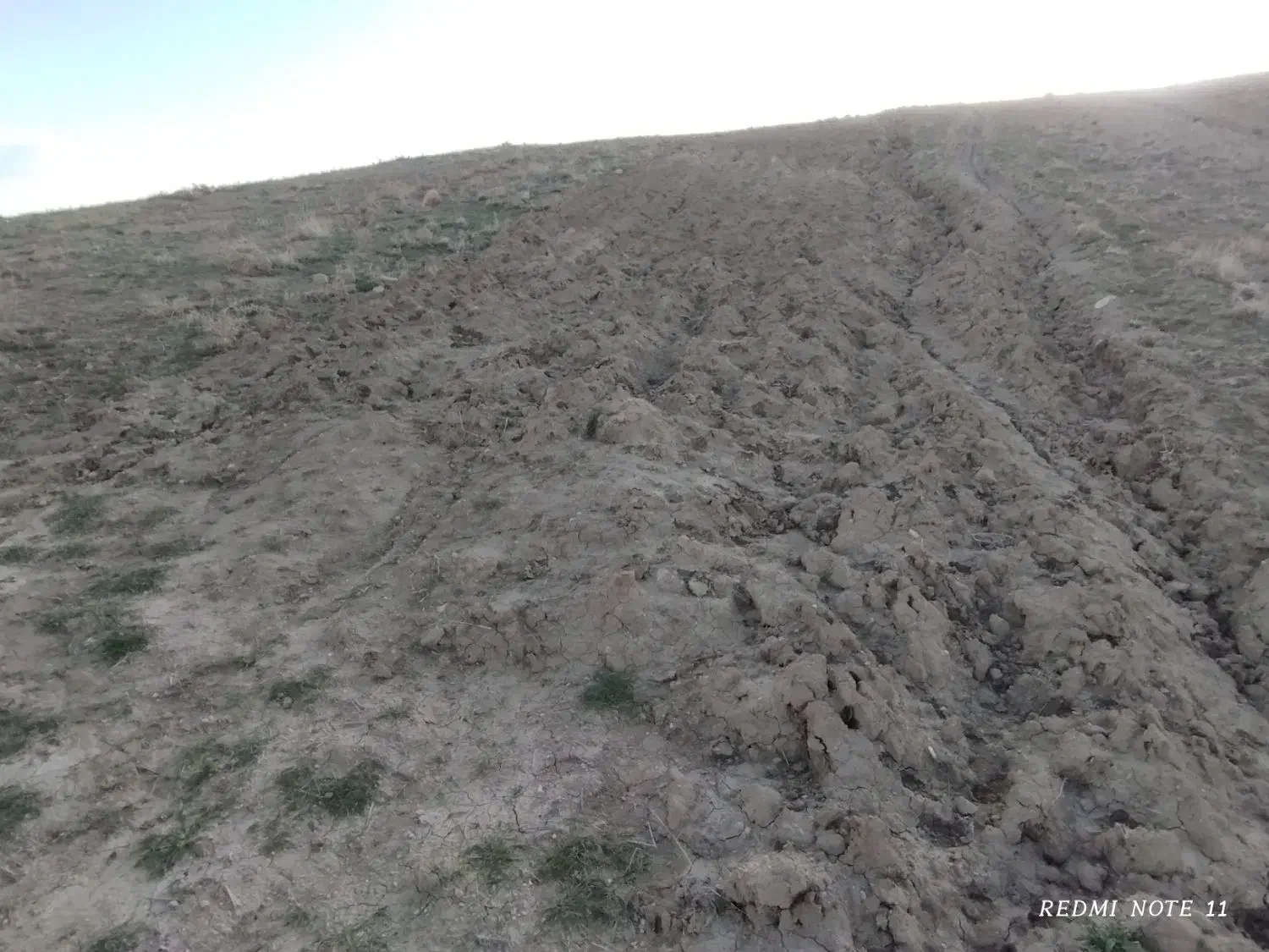 فروش زمین دیم فلارد|فروش زمین و ملک کلنگی|فلارد, |دیوار