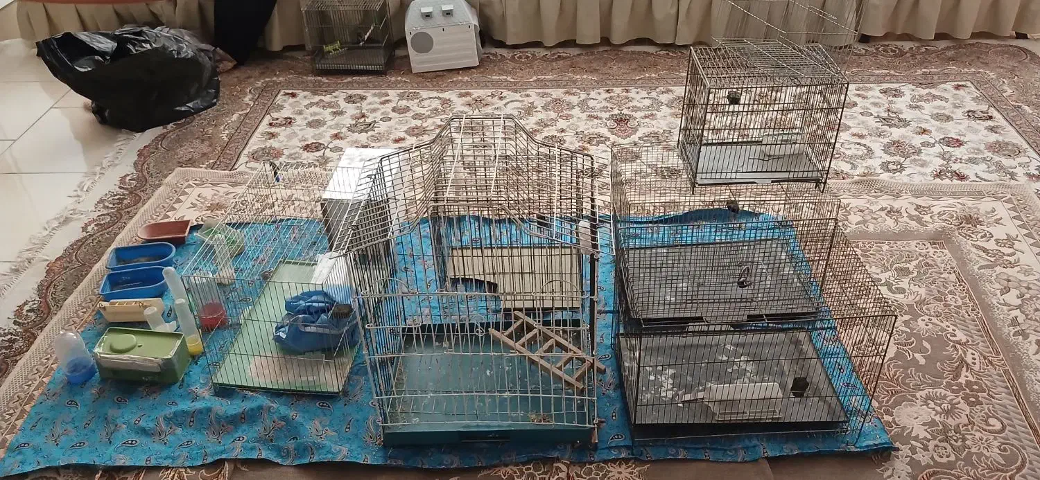 قفس|لوازم جانبی حیوانات|کرج, اکبرآباد|دیوار