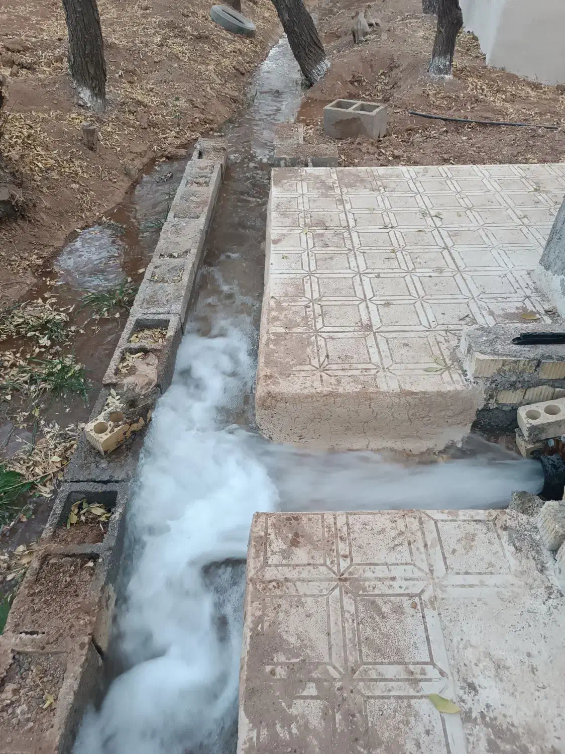 باغ بهمن|فروش زمین و ملک کلنگی|بهمن صغاد, |دیوار