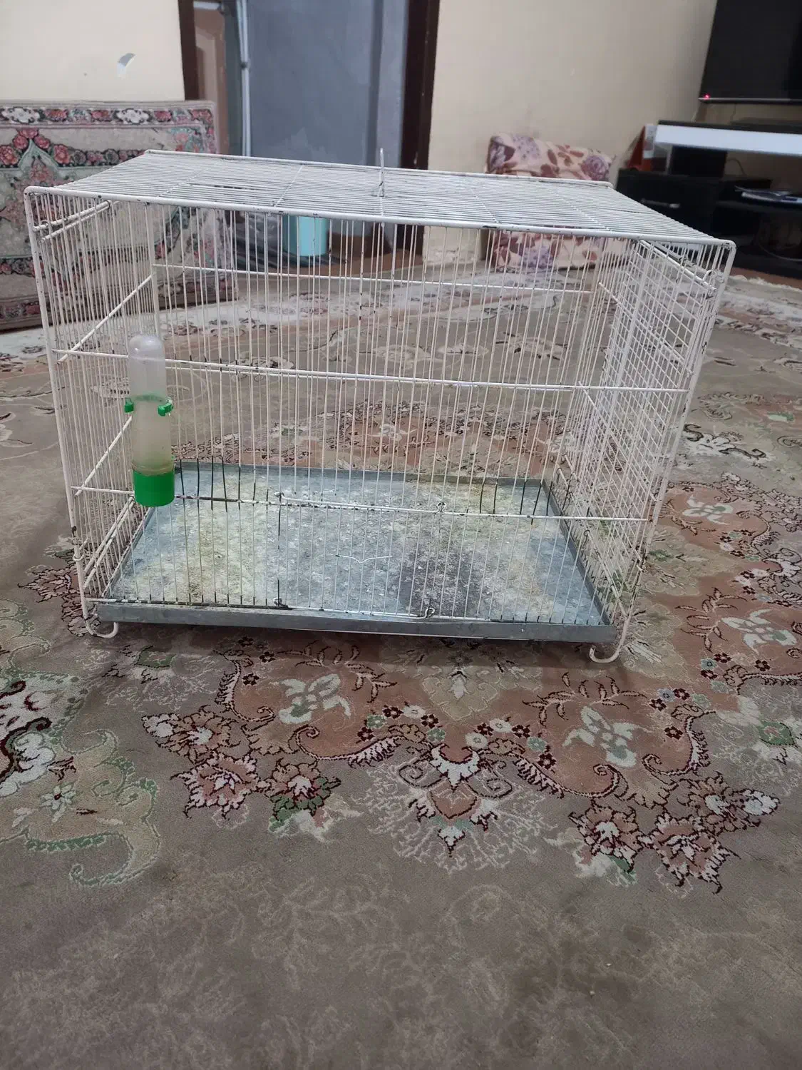 قفس|لوازم جانبی حیوانات|سبزوار, امام خمینی (ناوی)|دیوار