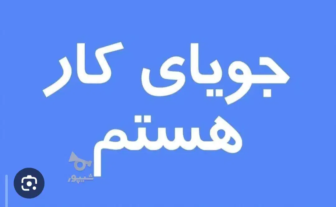 کارجو هستم|خدمات رایانهای و موبایل|دزفول, |دیوار