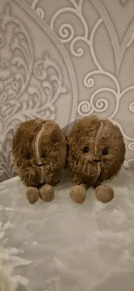 اکسسوری|بدلیجات|کرج, شهرک شهرداری|دیوار