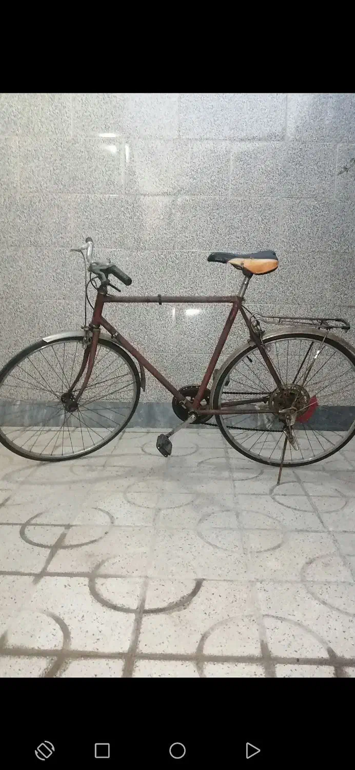 دوچرخه کورسی و رینگ|دوچرخه، اسکیت، اسکوتر|شیراز, کیان شهر|دیوار