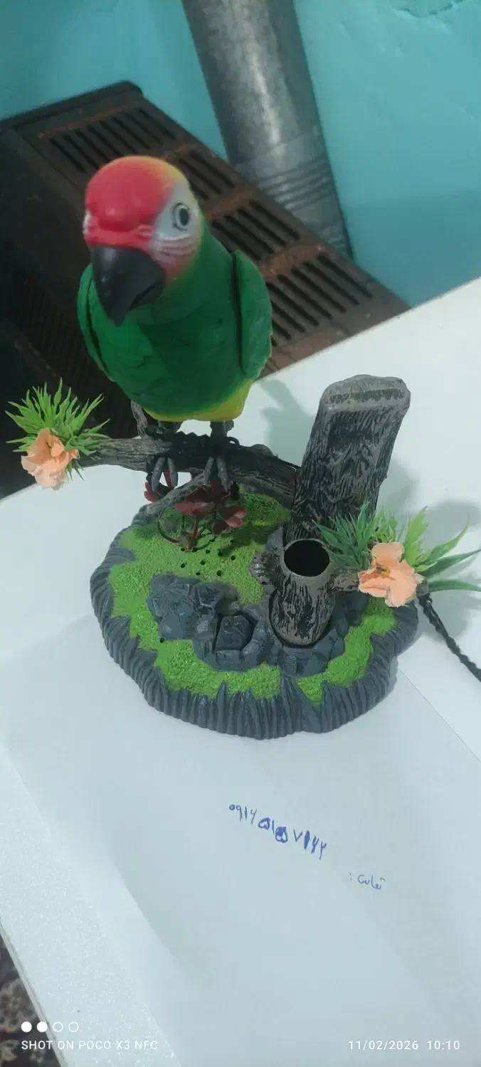 طوطی|اسباب‌‌بازی|فولادشهر, مسکن مهر فولادشهر|دیوار