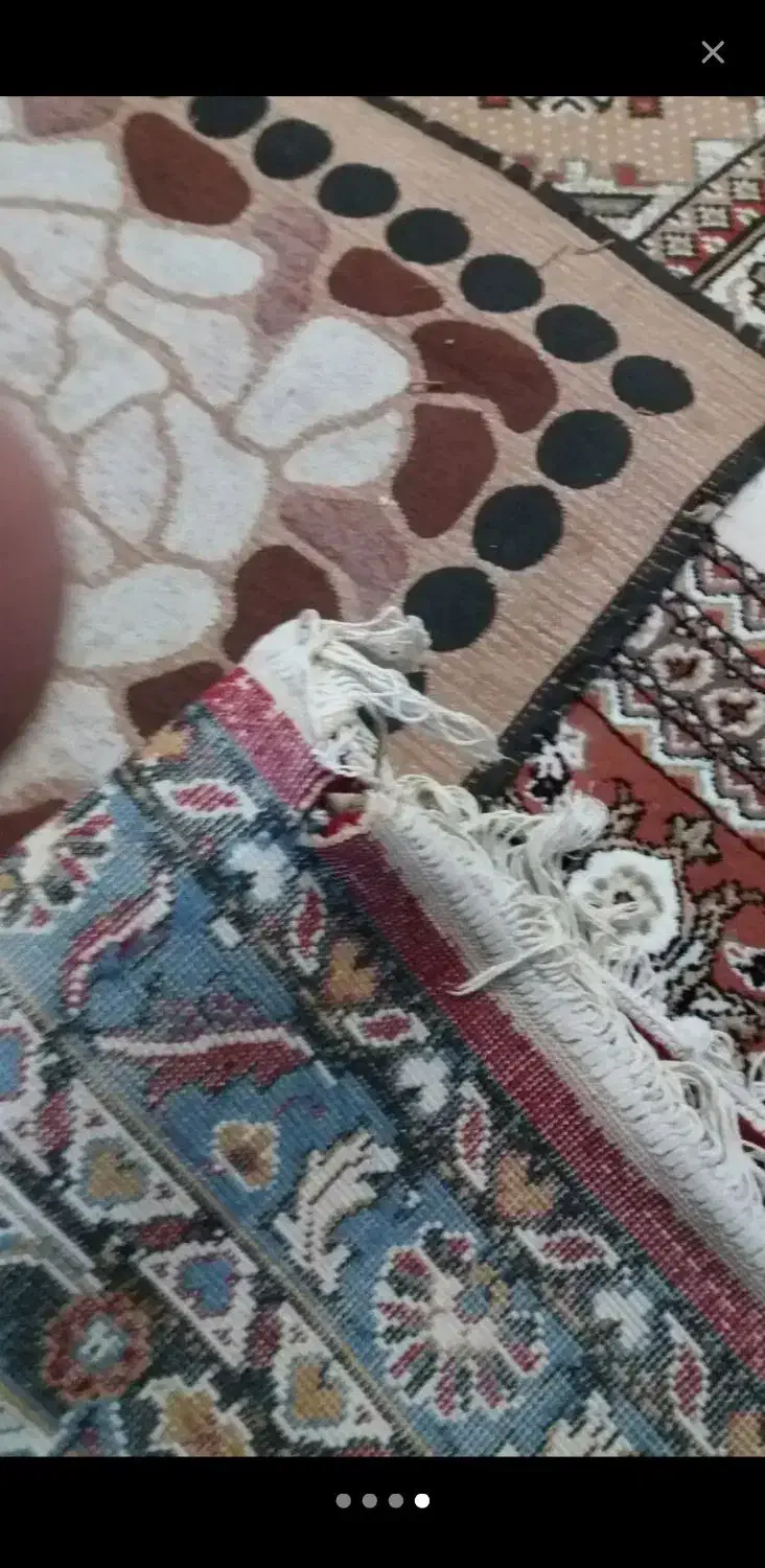 فرش 12 متری|فرش|کرمانشاه, |دیوار