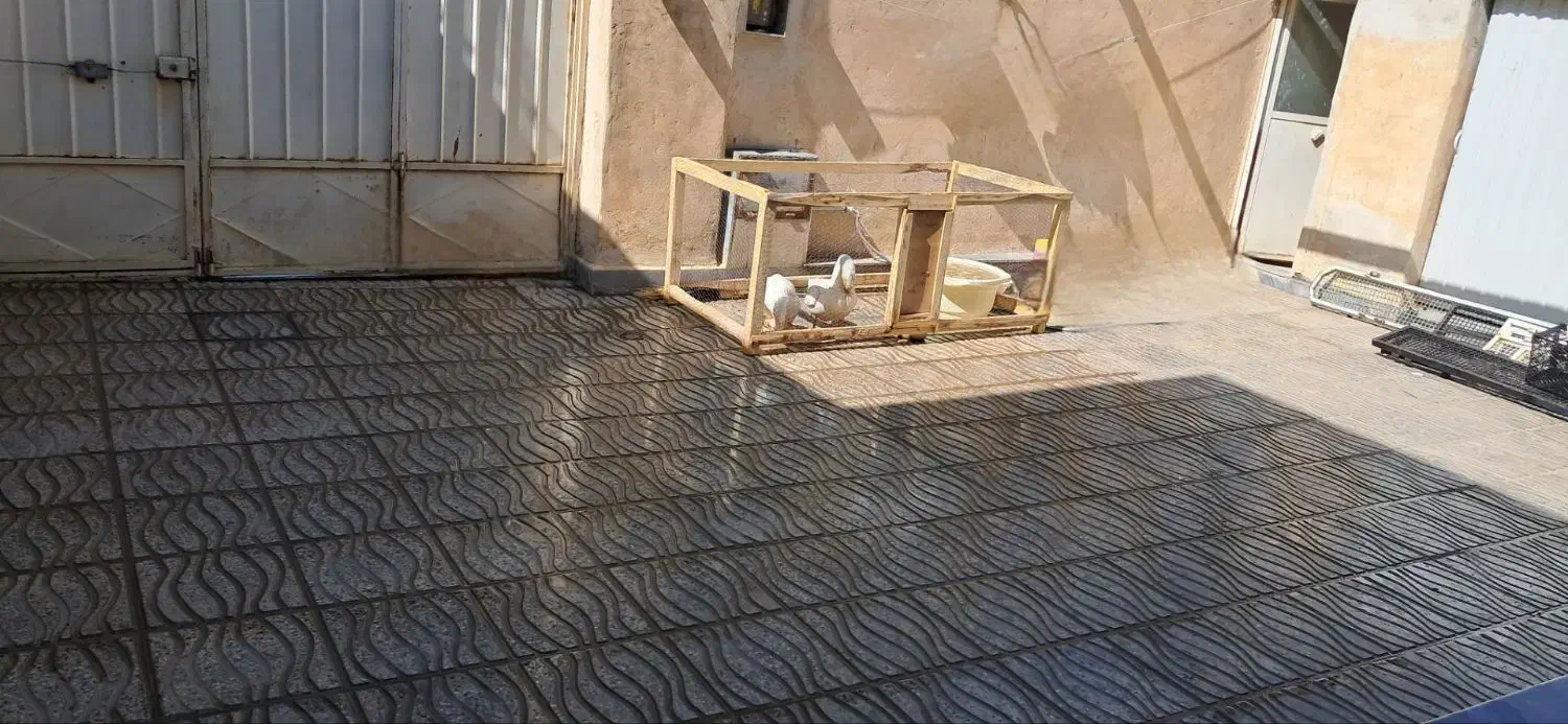 فروش خانه ویلایی|فروش خانه و ویلا|کیار, |دیوار