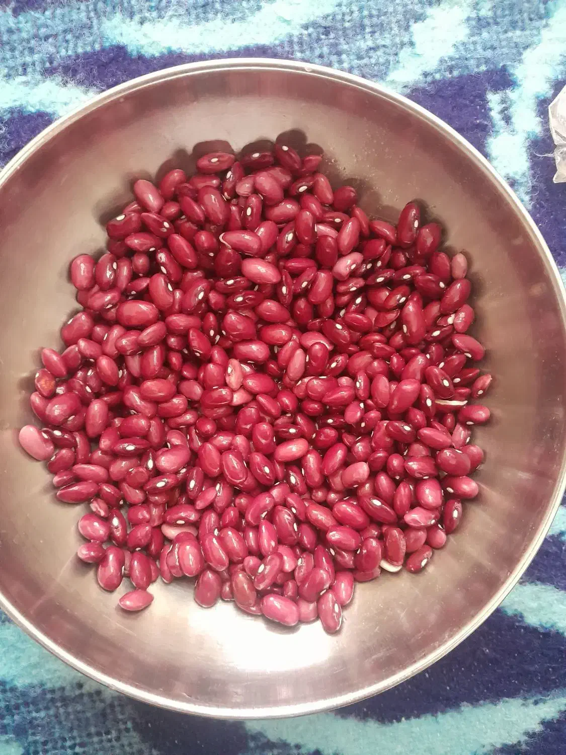 لوبیا قرمز|خوردنی و آشامیدنی|فرمهین, |دیوار