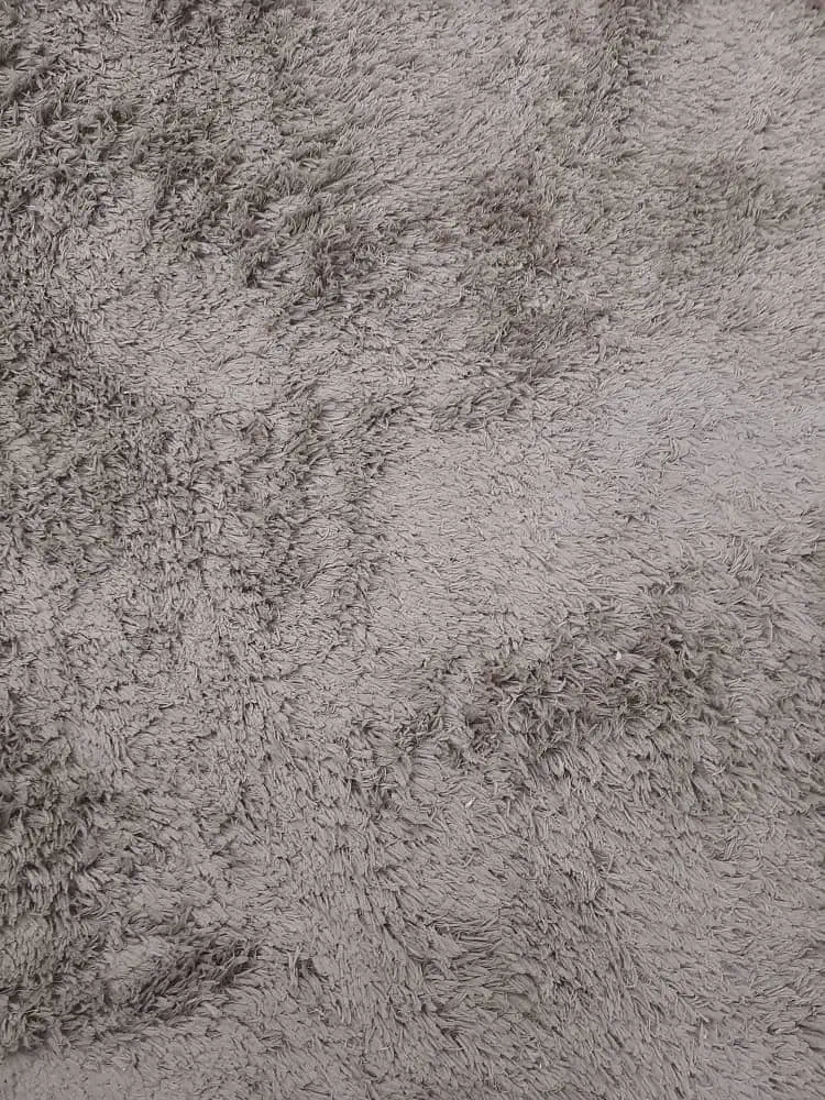 فرش شگی ۴ متری|فرش|شیراز, چوگیاه|دیوار