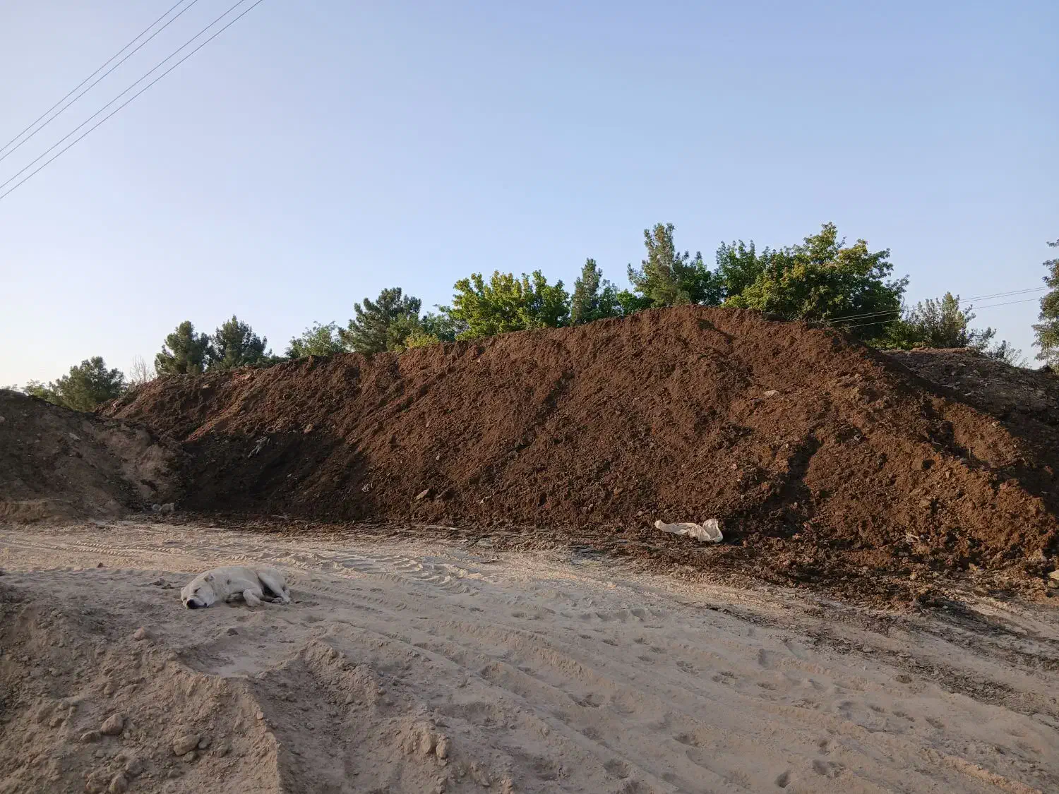 خاک سیاه و جوی میمی، ماسه باغچه ، کود کهنه گاوی|خدمات باغبانی و درختکاری|مشهد, توس (بلوار توس)|دیوار