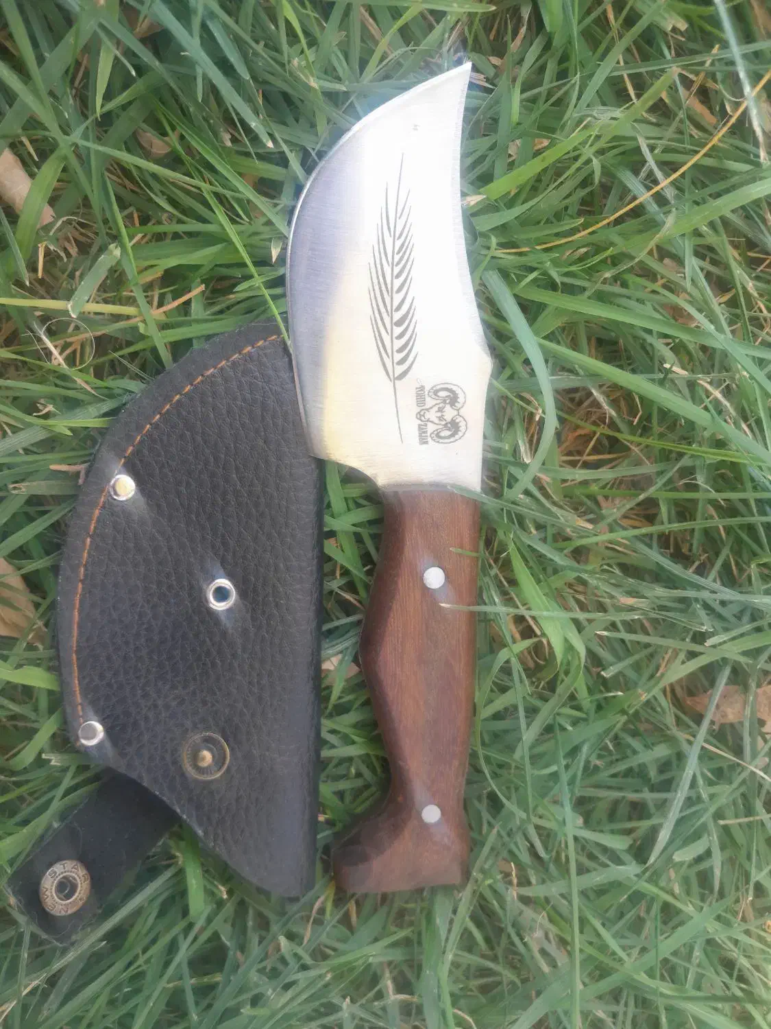 چاقو فولادی تیغ تیز|کوهنوردی و کمپینگ|مسجد سلیمان, |دیوار