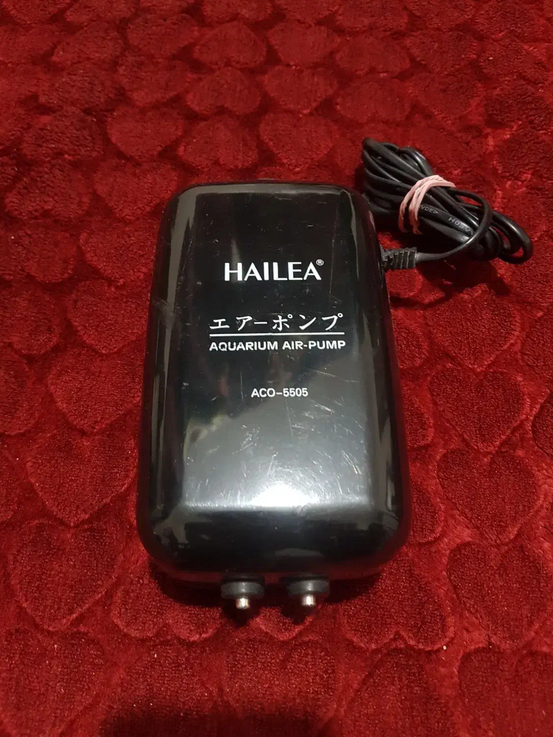 لوازماکواریوم|ماهی|برخوار, |دیوار