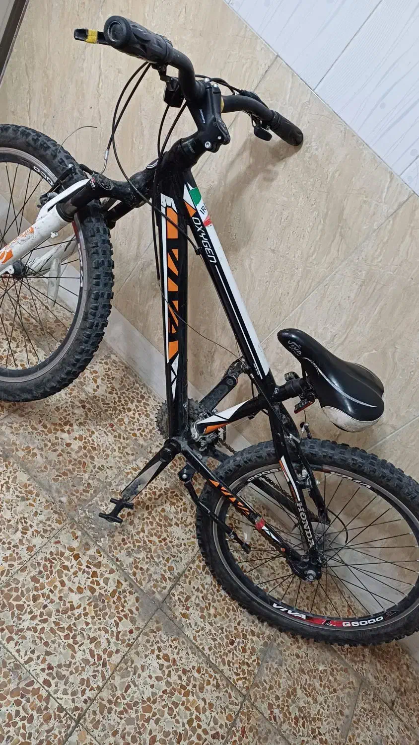 دوچرخه ویوا|دوچرخه، اسکیت، اسکوتر|بناب, |دیوار