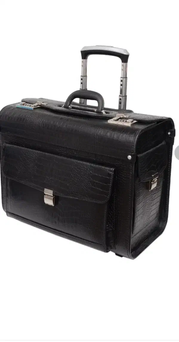 کیف خلبانی و دامپزشکی|کیف، کفش، کمربند|اردبیل, |دیوار