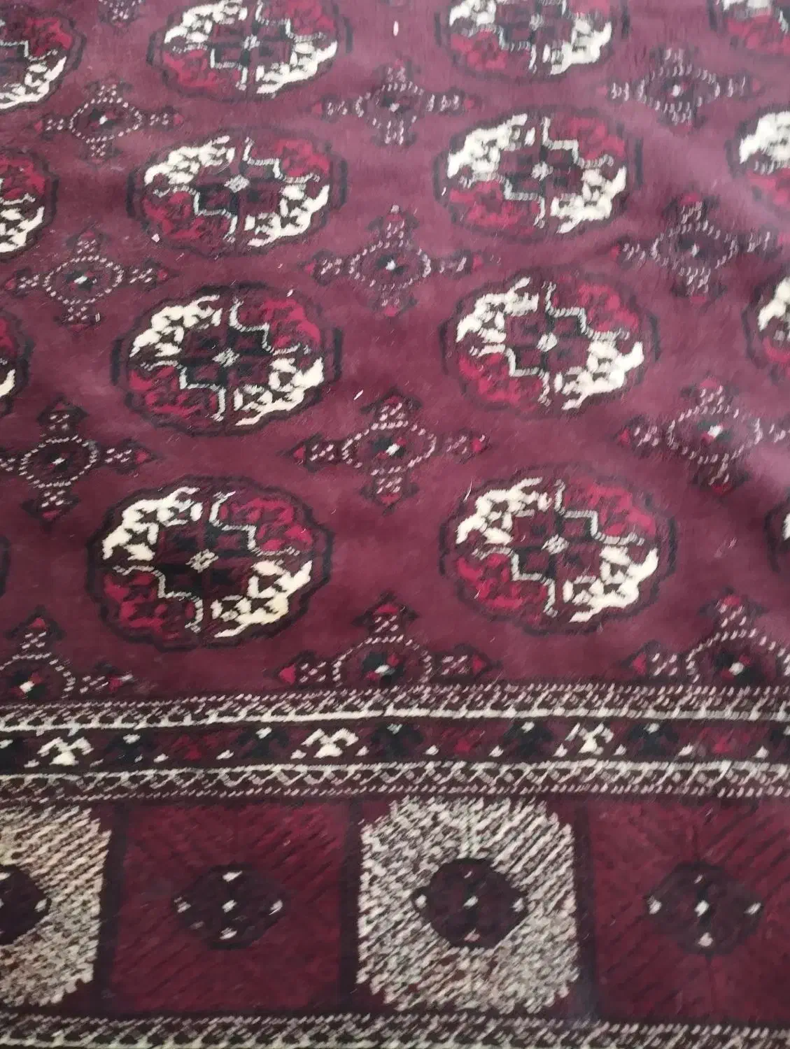 فرش ترکمن|فرش|آق قلا, |دیوار