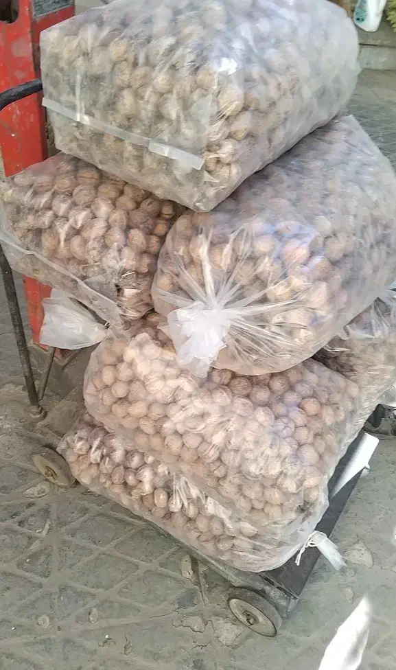 گردو محلی|عمده‌فروشی|کرج, ساسانی (قلمستان)|دیوار