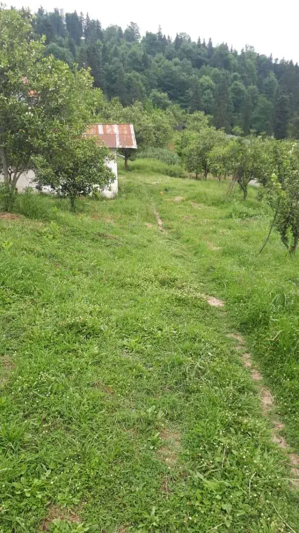 ۷۰۰۰ متر زمین سند دار تفکیک شده با پروانه ساخت|فروش زمین و ملک کلنگی|مرزیکلا, |دیوار