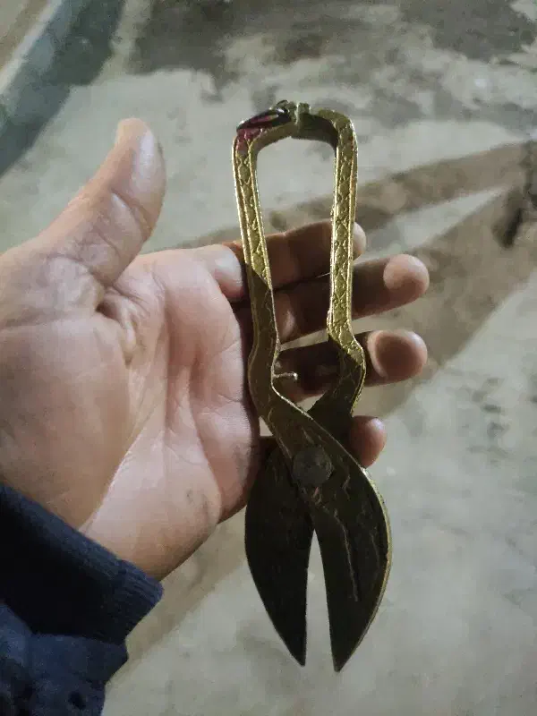 قیچی قدیمی|کلکسیون اشیاء عتیقه|کرمان, |دیوار