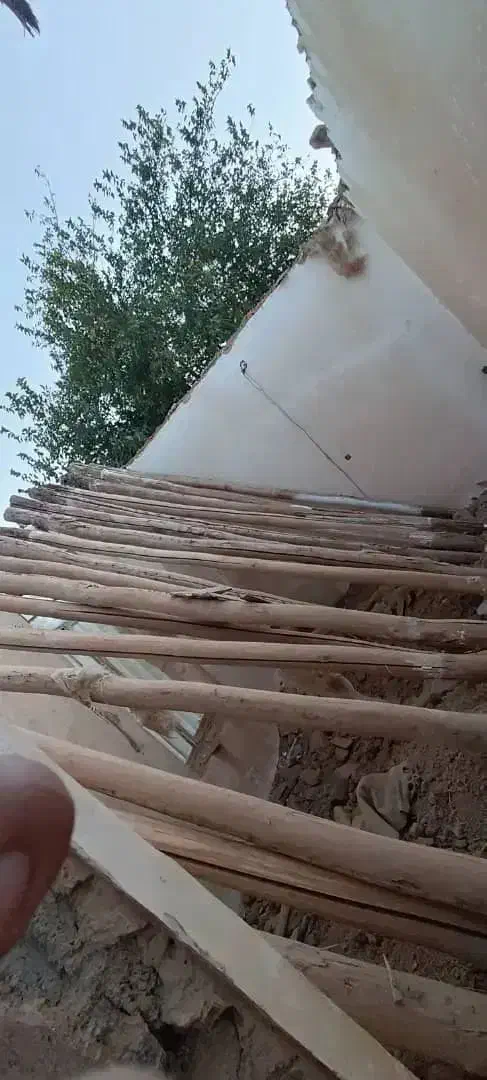 خرید انواع چوب تر و خشک خریدار|خدمات باغبانی و درختکاری|کرمانشاه, |دیوار