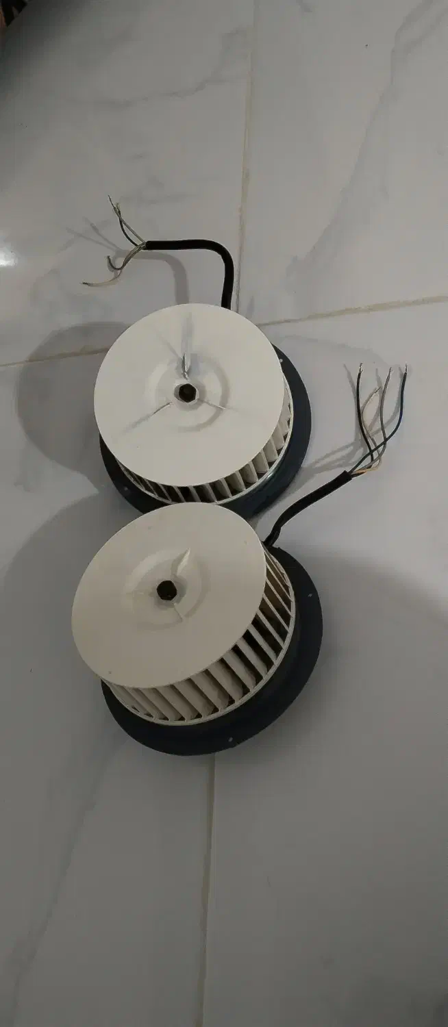 موتور هود|هود|درمیان, |دیوار