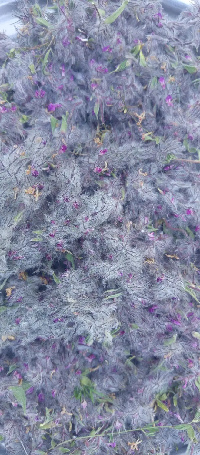 توهلوجه|خوردنی و آشامیدنی|هوراند, |دیوار